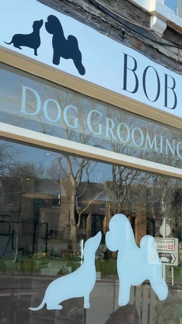 Your sign to choose Bob The Dog for your grooming needs 🫧🤍🐕✨

Full grooms, walk in nail trims, puppy packages & more 

Find us at 6-8 High Street Keynsham 📍
Monday-Friday 9-5 
Saturday 9-4 

Last minute slot available today @ 2pm with Sophie 
Small-medium breed full groom 🤎