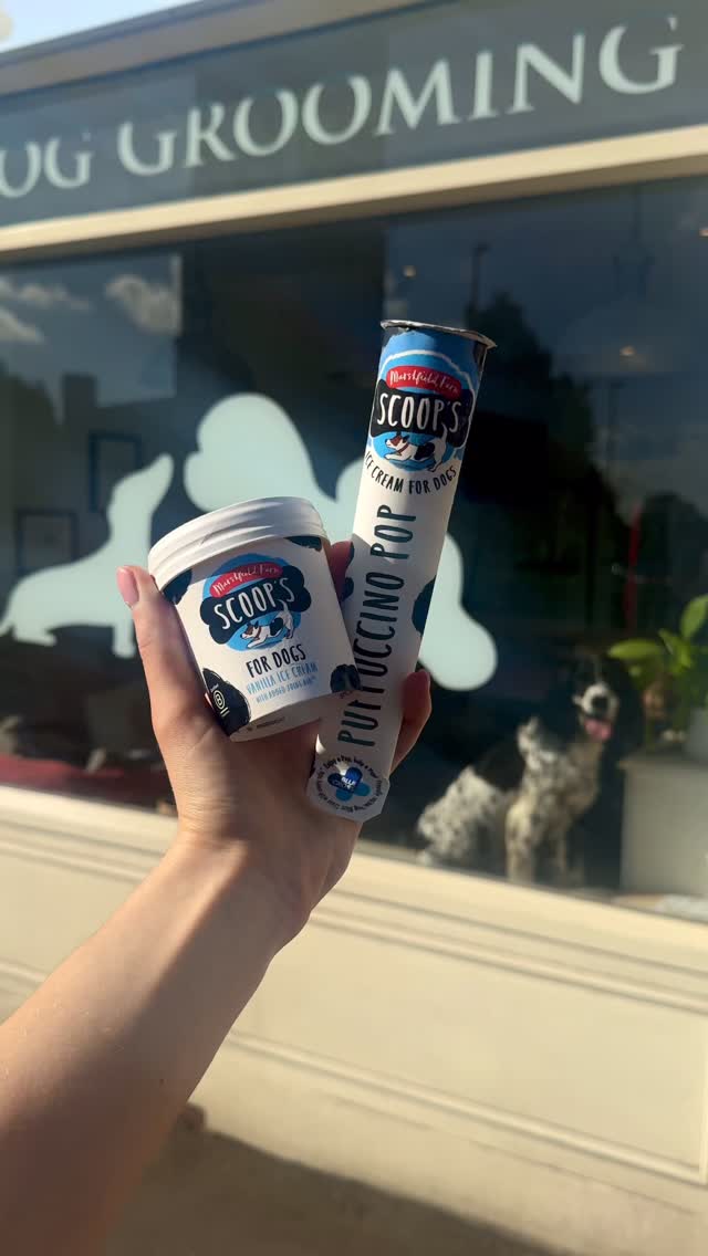 Scoops dog ice cream have upgraded just in time for summer 🍦☀️⛱️🌻

Shop our new puppuccino pops from @marshfieldices @scoopsdogicecream as well as everyone’s favourite ice cream pots both available in store & in our cafe 🐕🤎✨