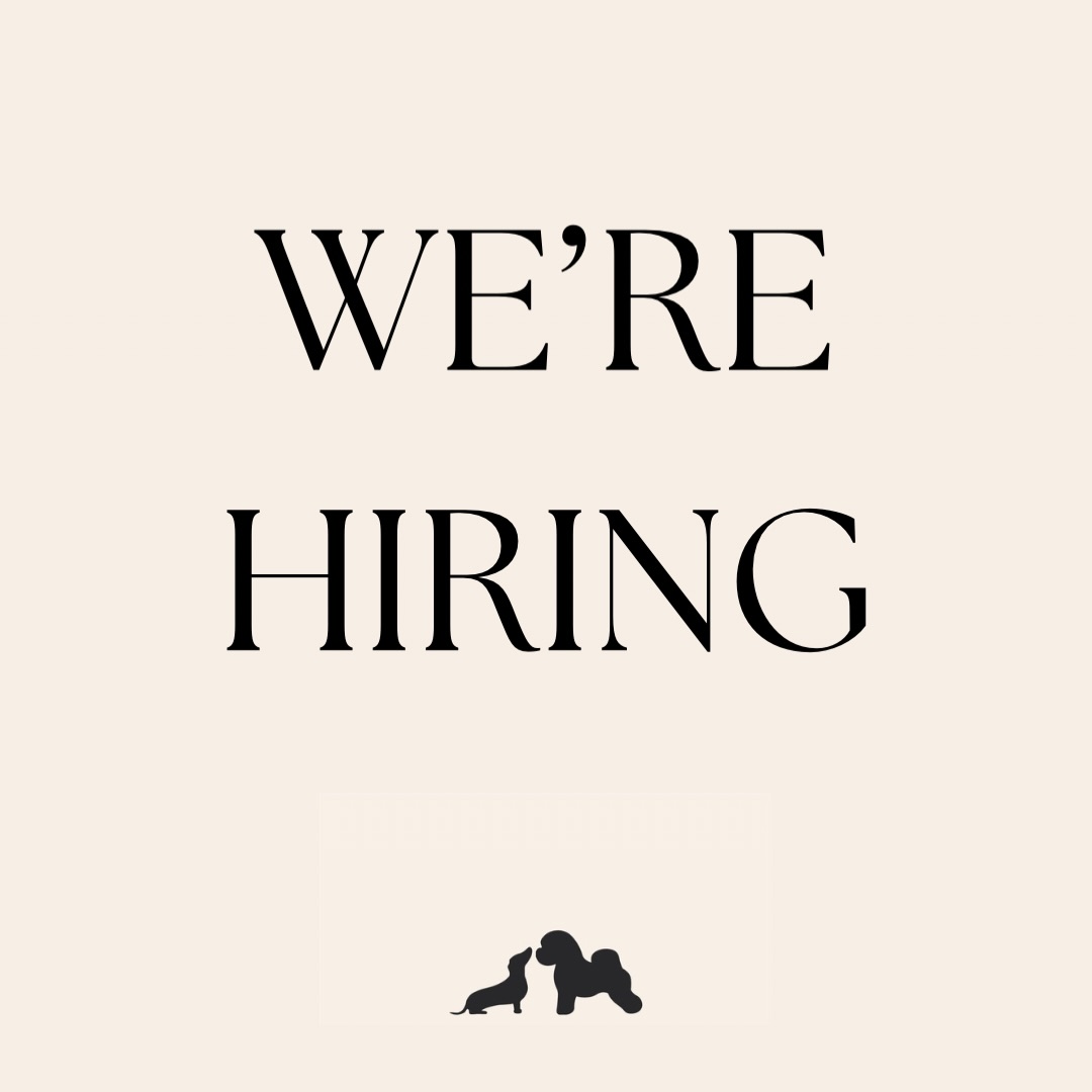 Bob The Dog are looking for a talented, self employed dog groomer to join our friendly team from September 🛁🫧✂️🐕

This is a part-time position with the opportunity to grow into a full time role as your client base develops

We can provide an established client base to help you get started, while also encouraging you to build your own client base through great customer service and social media presence

If you are a qualified & experienced dog groomer who is passionate about grooming, confident handling a variety of breeds and keen to build lasting relationships with clients and their dogs, we’d love to hear from you.

💌Please email Lily & Kate at 
info@bobthedogshop.com 

**Please share**