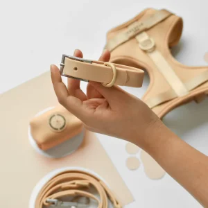 coco pup collar lead harness bob the dog shop