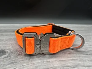 BTactical orange collar