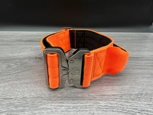 BTactical orange collar